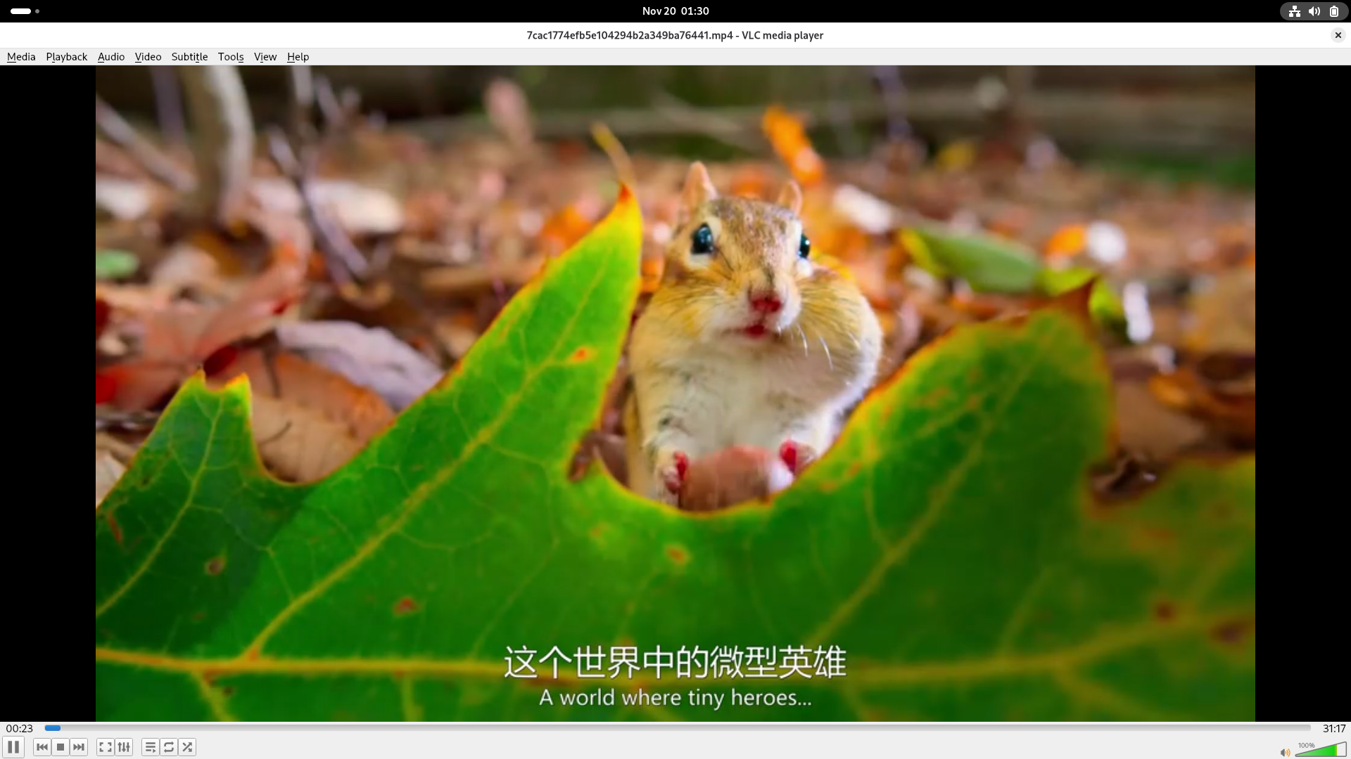 GPU架构图